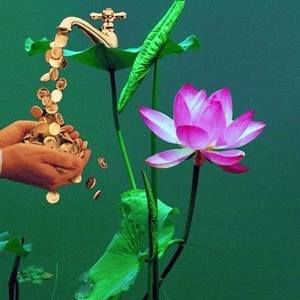 Meet your Posher, Kingfton